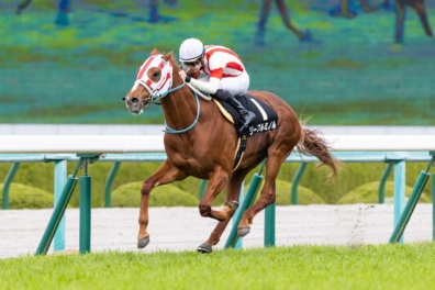 生産馬 リーブルミノル号 優勝